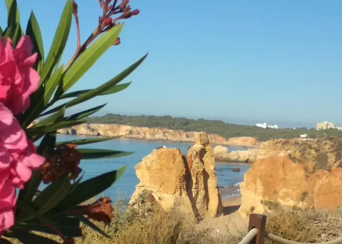 Albur Village B - Lotus *